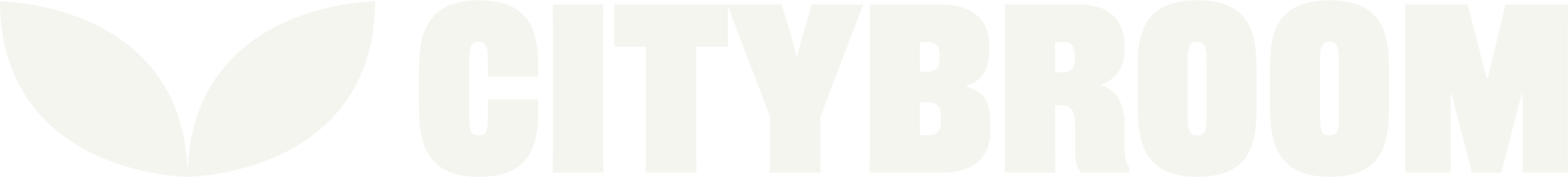 Citybroom